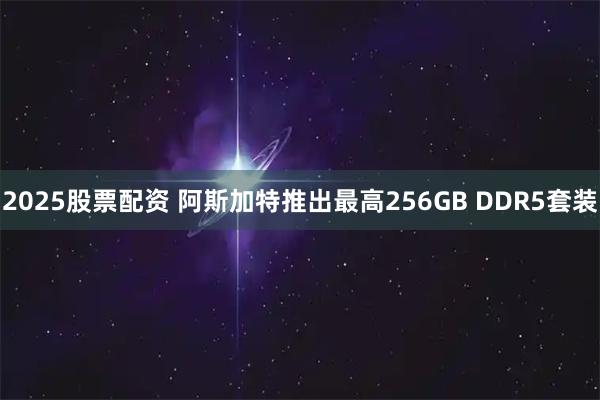 2025股票配资 阿斯加特推出最高256GB DDR5套装